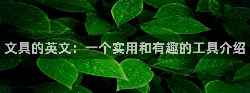 天顺娱乐惫943994：文具的英文：一个