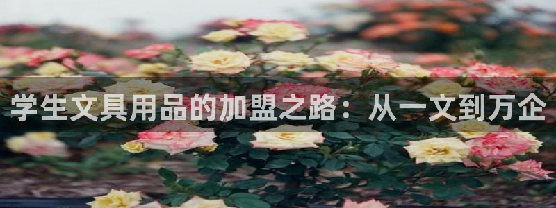 天顺娱乐兄文秦奋83334j：学生文具用