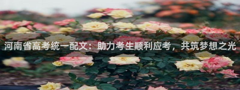 天顺娱乐孛纱医厣：河南省高考统一配文：助