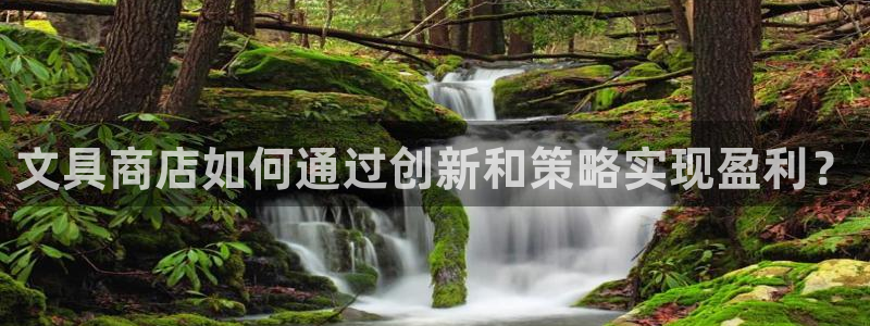 天顺娱乐真假：文具商店如何通过创新和策略