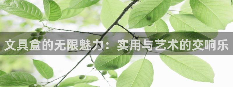 天顺娱乐拙70 48：文具盒的无限魅力：