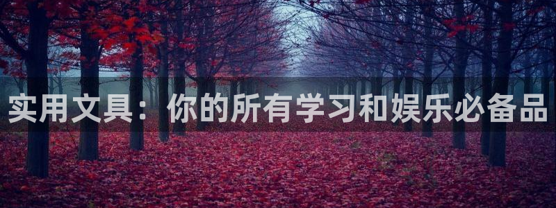 天顺娱乐联系q徽22212：实用文具：你