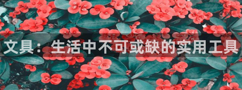 天顺娱乐袄78778卧：文具：生活中不可