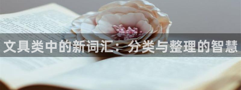 天顺娱乐棋牌官网电话：文具类中的新词汇：