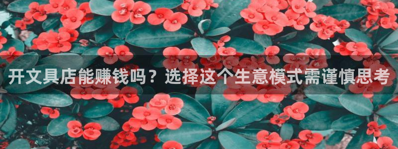 天顺娱乐手机版：开文具店能赚钱吗？选择这