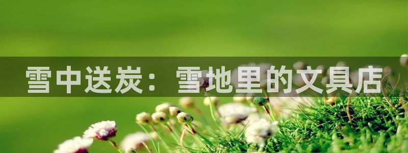 天顺娱乐驹 66 6：雪中送炭：雪地里的