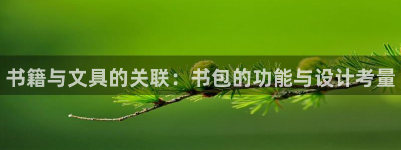 天顺娱乐世3300：书籍与文具的关联：书